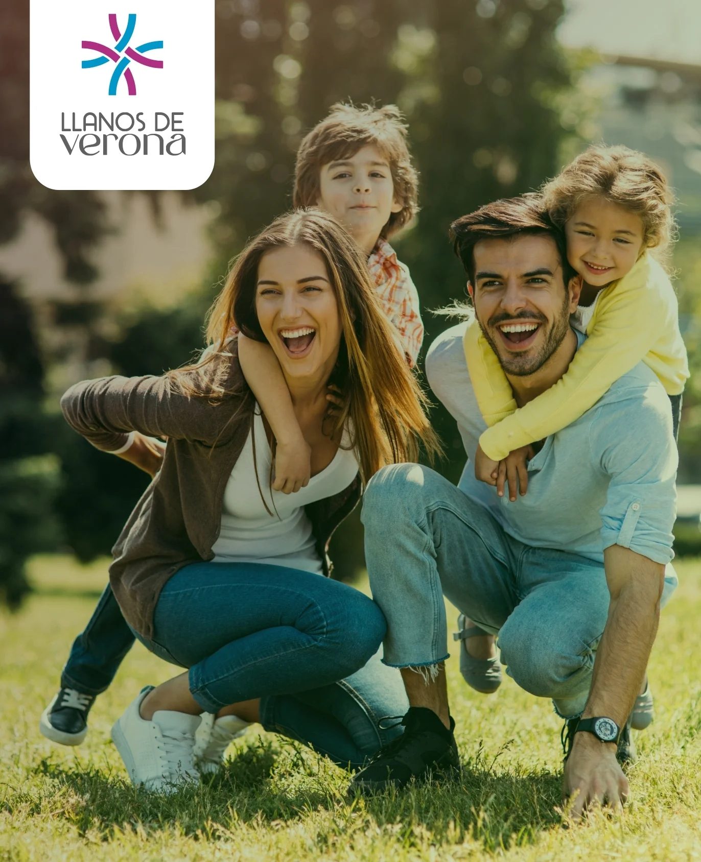 Proyecto Llanos de Verona